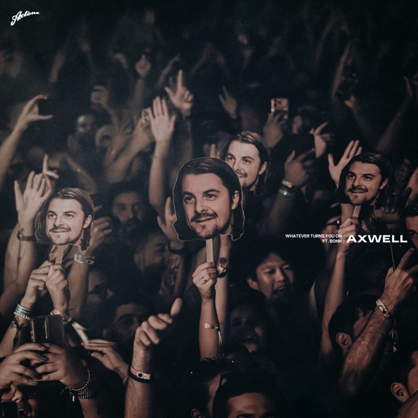 Artwork for Whatever Turns You On by Axwell, Bonn
