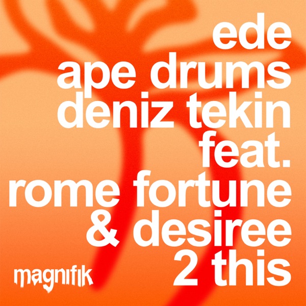 Artwork for 2 This by Ape Drums, Rome Fortune, Ede, DESIREE (RSA), Deniz Tekin (TR)
