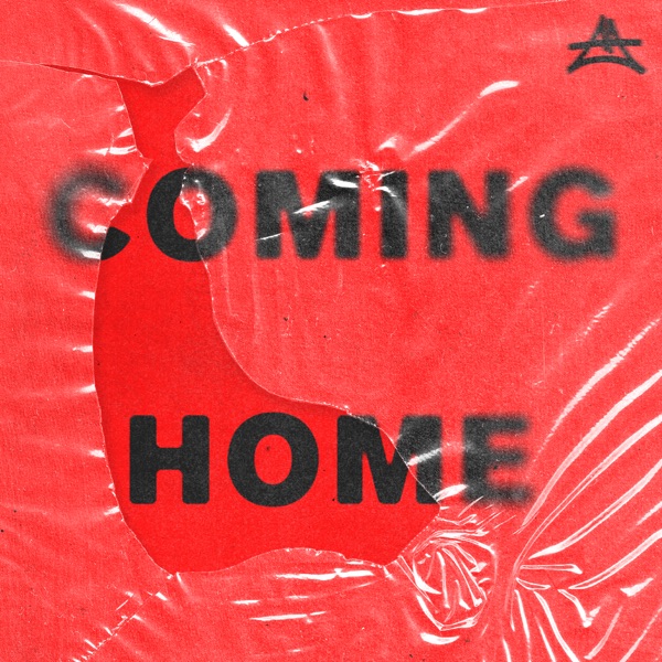 Artwork for Coming Home by Adriatique, Rhys from the Sticks