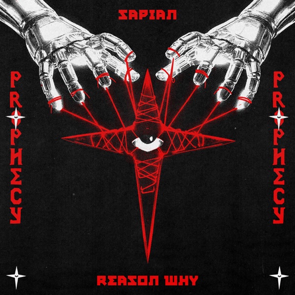 Artwork for Reason Why by Sapian