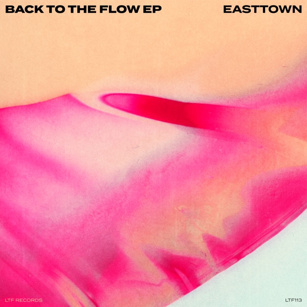 Artwork for Back To The Flow by Easttown