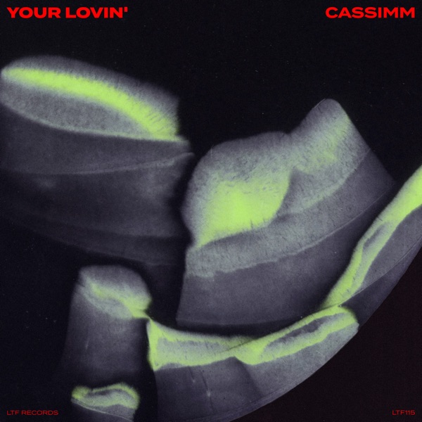Artwork for Your Lovin' by CASSIMM